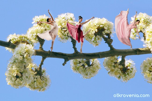 Пролетен балет