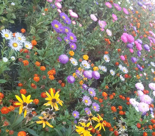 Все още е лято