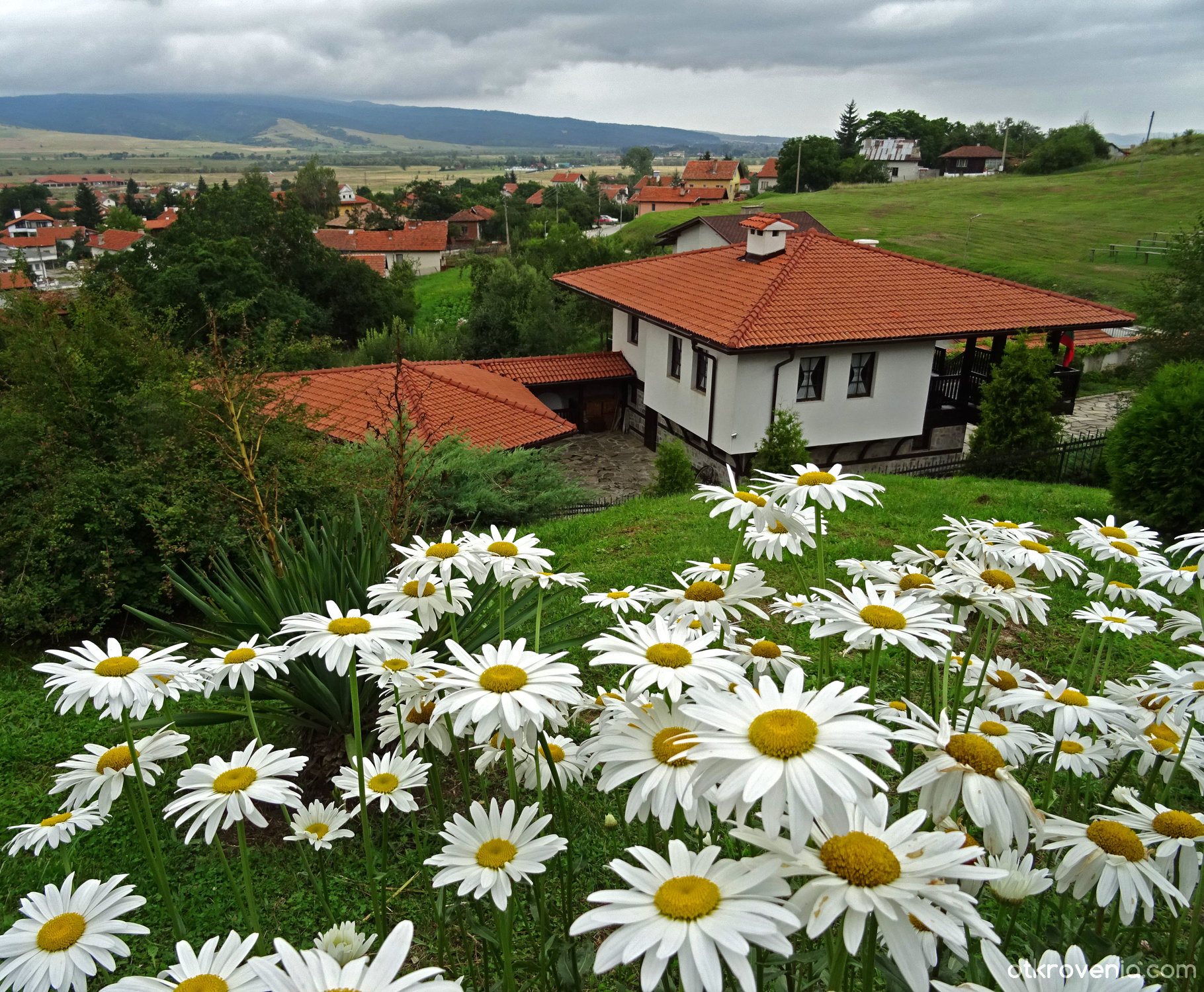 Маргарити - фото: Пейзаж от Доби (Добринка Иванова)