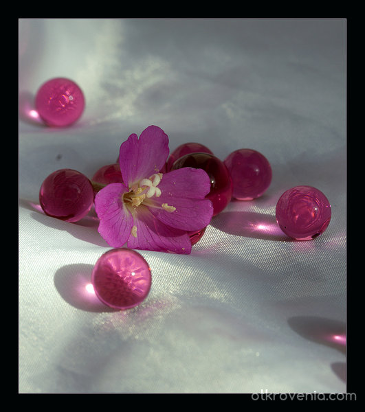 Розови перли