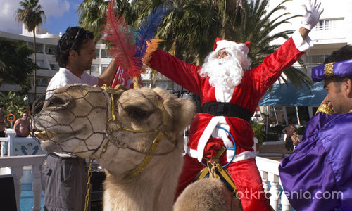 Дядо Коледа на камила