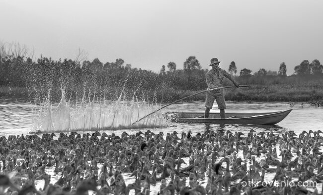 Разхлаждане