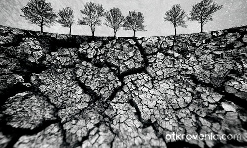 Поглед от утрешния ден