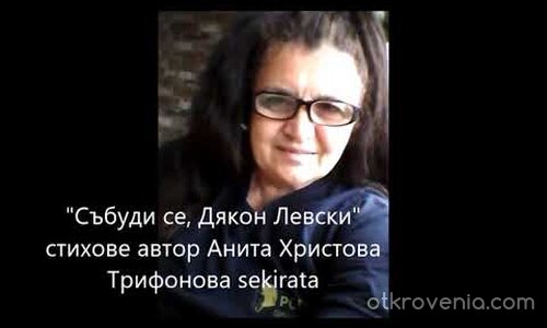 Събуди се, Левски!