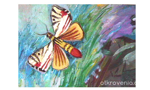 Пеперуда 2