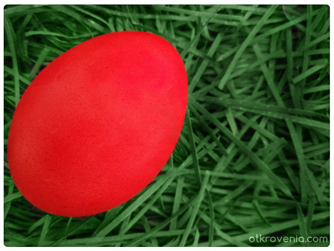 Red Egg