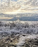 KatyaKoleva (Katya Koleva)