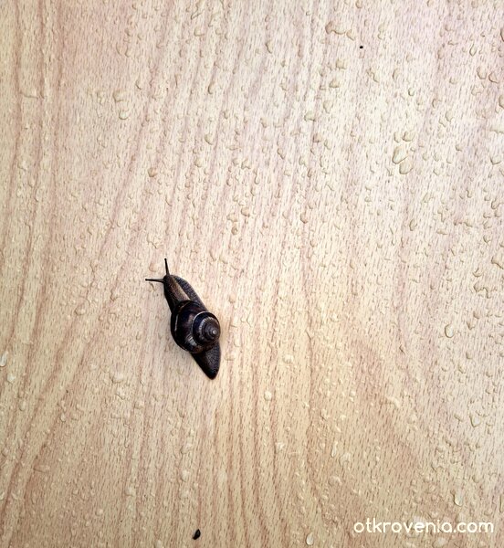 Само още 1 метър и 7 дни и съм на адреса