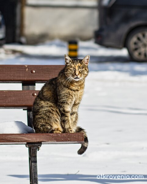 В очакване на пролетта