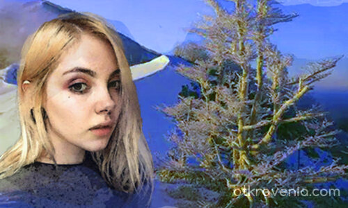 Момиче от планината 25