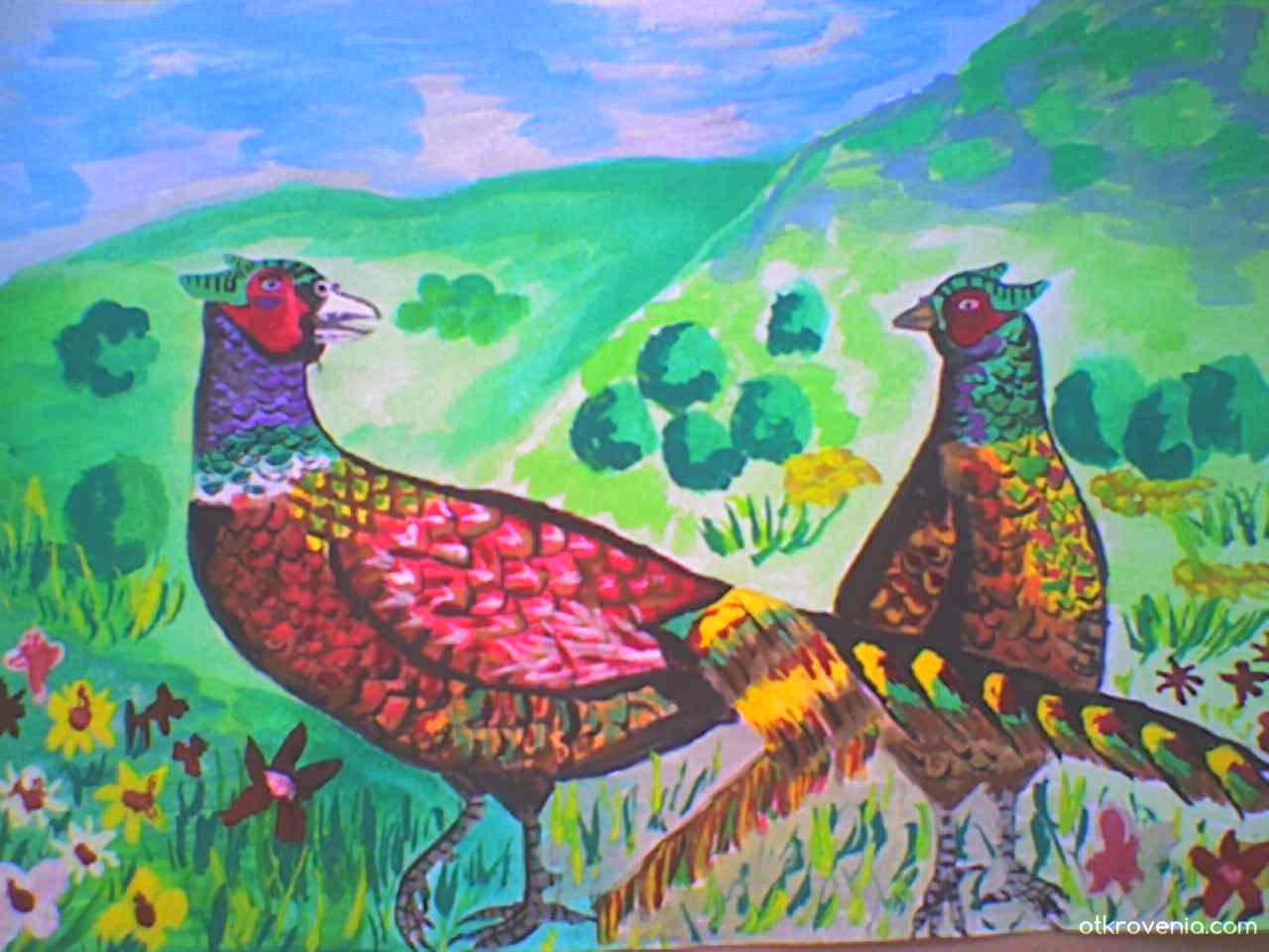 Детский рисунок фазана