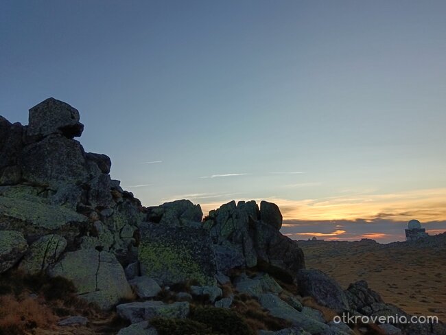 Честит празник, българи