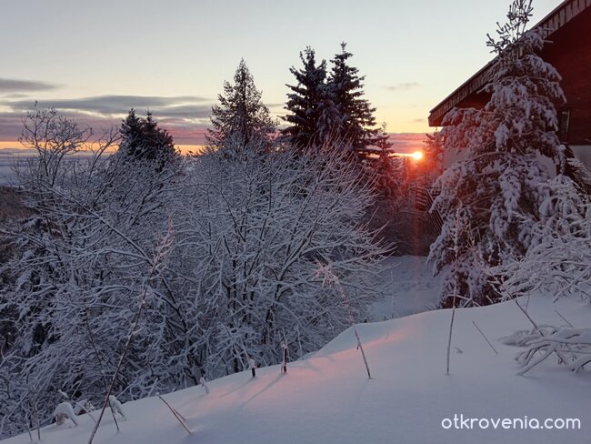 "Да бъде светлина"