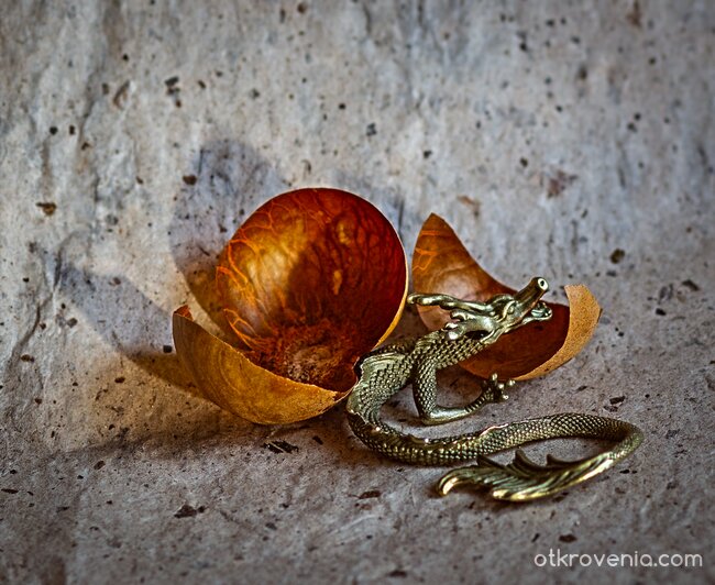 Роди се дракон