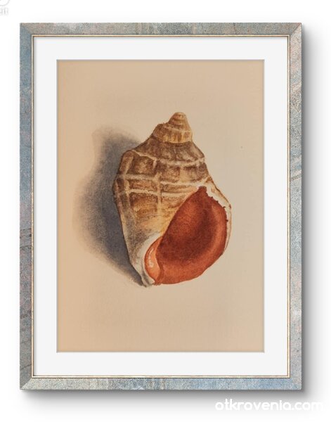 Морски аламинути