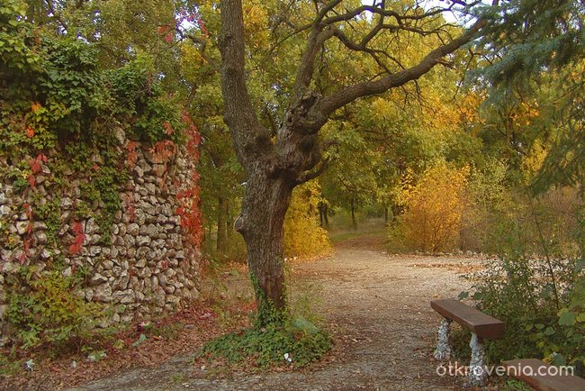 Eсен в парка