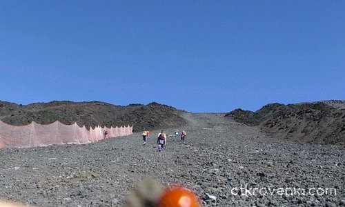 Калинка на вулканичната лава от Етна!  Самотната душичка е намерила тук топлинка!