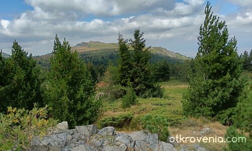 От Голи връх към Ушите