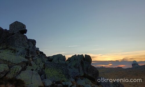 Честит празник, българи