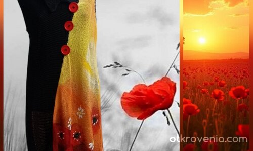Макове и маргаритки