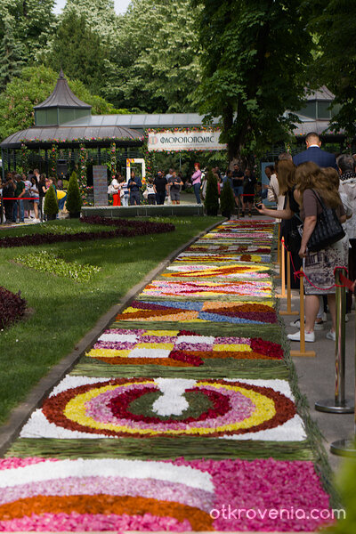 Флоропополис, българските букви изписани с цветчета