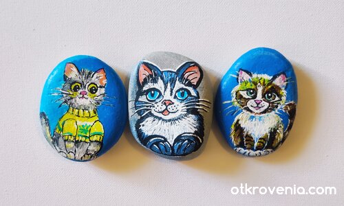 Котарачета върху камъчета