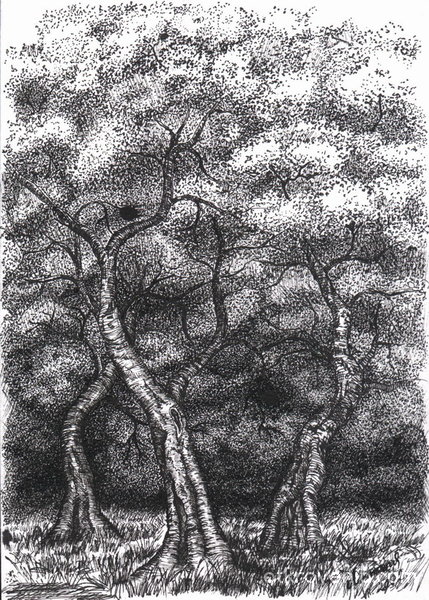 Дървета 2