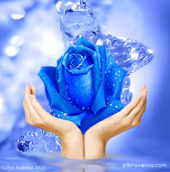 Синя роза