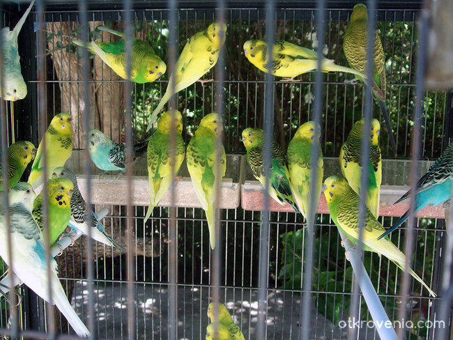 Един ужасен прекрасен ден