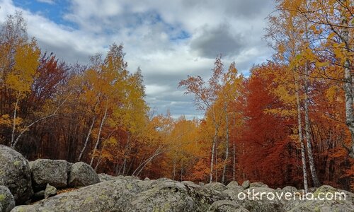"Юрушки Мостове", Витоша - 2