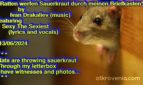 Ratten werfen Sauerkraut durch meinen Briefkasten