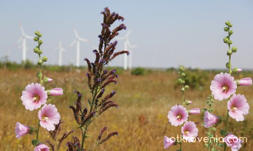 Красотите на Златна Добруджа!