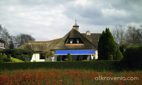 Селска къща със сламен покрив.