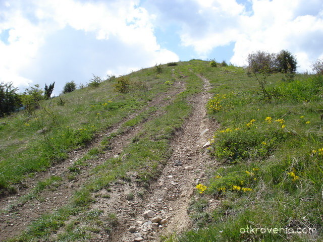 Нагоре към върха или към "Хълма на идиотите" в Бистрица