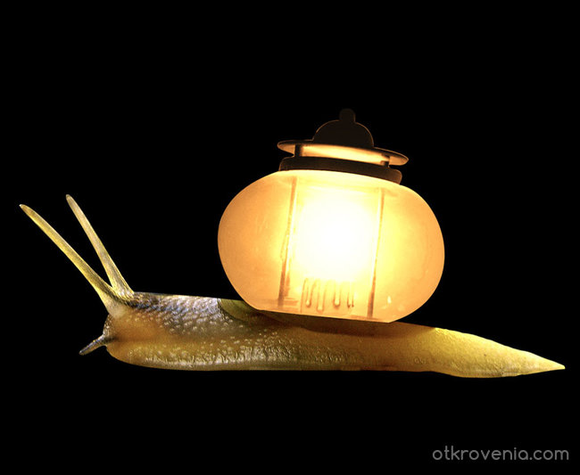 Snail lamp (охлюв лампа)