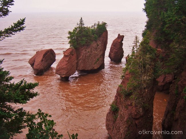 Hopewell Rocks по време на прилив