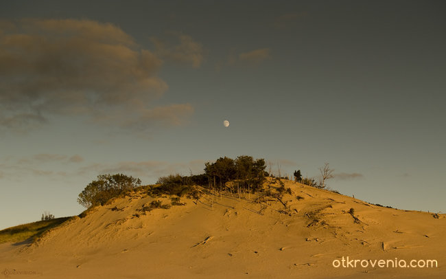 In The Desert Of Our Tiny Souls / В пустинята на малките ни душички