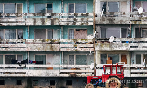 Български реализъм V