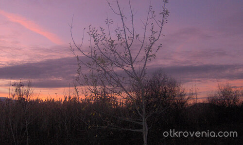 Странна самота