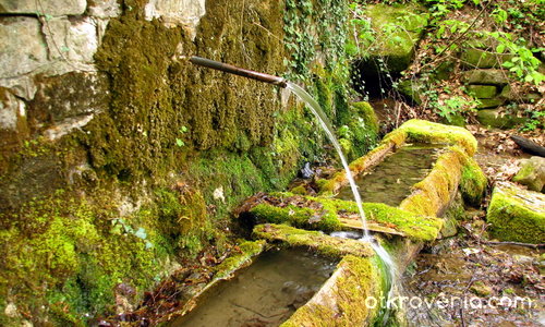 Зелената стара чешма