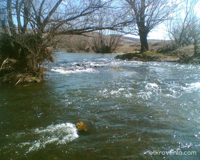 река Ботуня