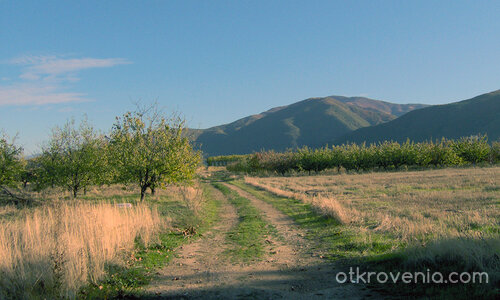 С дъх на есен и билки