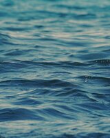 written-springs (А.Д.)