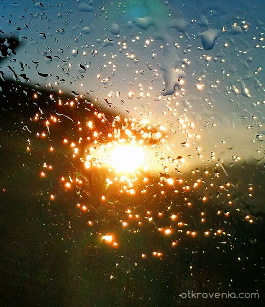 Златен дъжд