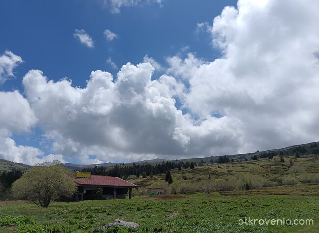 Конярника, Витоша