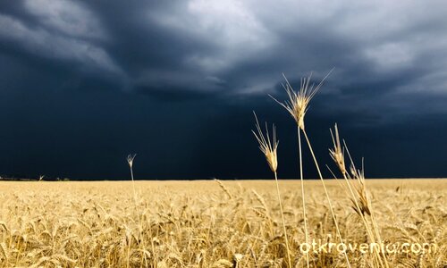 Преди бурята