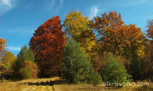 Средногорска есен