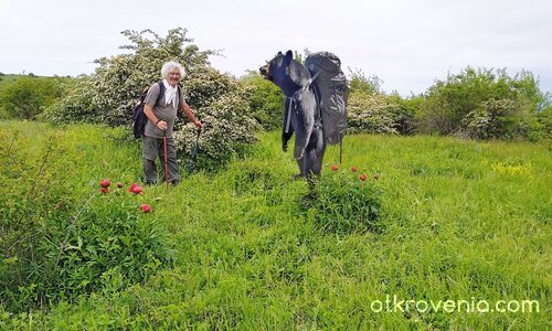 Успяхме да се разминем....