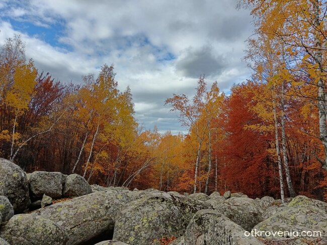 "Юрушки Мостове", Витоша - 2