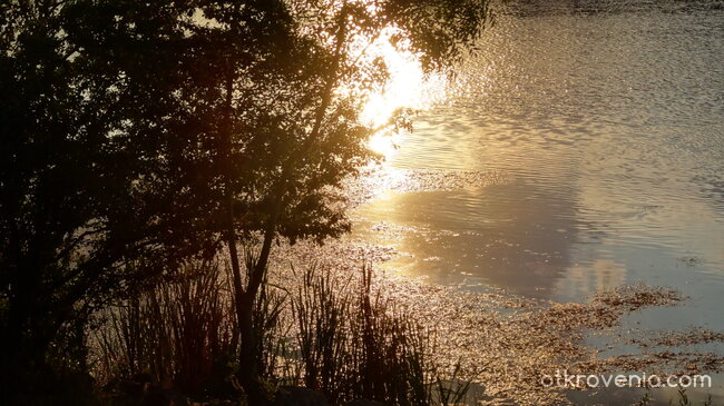 Слънчева пътека